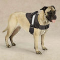 Load image into Gallery viewer, Guardian Gear Excursion Harnesses 36-46In