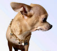 Load image into Gallery viewer, My Dainty Charm Necklace