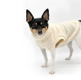 Load image into Gallery viewer, DCNY Dulce de Leche Sweater