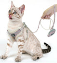 Load image into Gallery viewer, Puppy dog leash