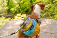 Load image into Gallery viewer, Adventurer Dog Pack (1-piece)