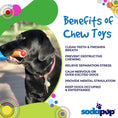 Load image into Gallery viewer, SP Hot Dog Ultra Durable Nylon Dog Chew Toy for Aggressive Chewers