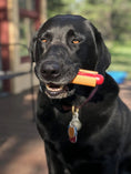 Load image into Gallery viewer, SP Hot Dog Ultra Durable Nylon Dog Chew Toy for Aggressive Chewers
