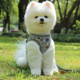 Load image into Gallery viewer, The New Dog Leash Reflective Strips Go Out At Night
