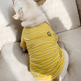 Load image into Gallery viewer, Puppy Family Wear

