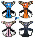 Load image into Gallery viewer, Headlight Harness, Dog Harness with Built In LED Light
