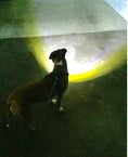 Load image into Gallery viewer, Headlight Harness, Dog Harness with Built In LED Light
