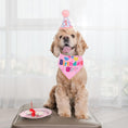 Load image into Gallery viewer, Dog Birthday Party Supplies Boy Girl Dog Birthday Hat With Numbers Dog Puppy Birthday Bandana Hat Bow  Puppy Birthday Hat
