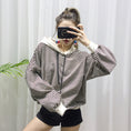 Load image into Gallery viewer, Dog Terry Sweater Pet Parent-child Wear
