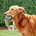 Load image into Gallery viewer, Pet Dog Toys For Large Small Dogs Toy Interactive Cotton Rope Mini Dog Toys Ball For Dogs Accessories Toothbrush Chew Premium Cotton-Poly Tug Toy For Dogs Interactive Rope Dog Toy For Medium Dogs
