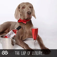 Load image into Gallery viewer, Posh Pooch Dog Wine Duo Pack

