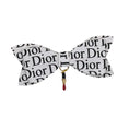 Load image into Gallery viewer, Diorable Lipstick Dog Hair Barrette

