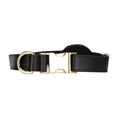 Load image into Gallery viewer, Golden Leather Dog Collars with Apple AirTag Slot
