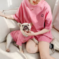 Load image into Gallery viewer, Puppy Family Wear
