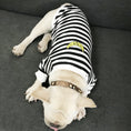 Load image into Gallery viewer, Adult pet striped parent-child outfit

