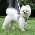 Load image into Gallery viewer, The New Dog Leash Reflective Strips Go Out At Night
