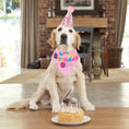 Load image into Gallery viewer, Dog Birthday Party Supplies Boy Girl Dog Birthday Hat With Numbers Dog Puppy Birthday Bandana Hat Bow  Puppy Birthday Hat

