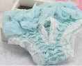 Load image into Gallery viewer, Female Dog Aunt Physiological Pants Panties
