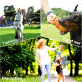 Load image into Gallery viewer, Dog Toys For Dogs Pineapple Dog Chew Toys For Aggressive Chewers Indestructible Dog Toys For Aggressive Chewers Dog Toys For Aggressive Chewers
