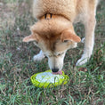 Load image into Gallery viewer, Water Frog Design eTray Enrichment Tray for Dogs
