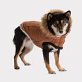 Load image into Gallery viewer, GF Pet ElastoFit Urban Dog Parka
