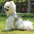 Load image into Gallery viewer, The New Dog Leash Reflective Strips Go Out At Night
