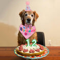 Load image into Gallery viewer, Dog Birthday Party Supplies Boy Girl Dog Birthday Hat With Numbers Dog Puppy Birthday Bandana Hat Bow  Puppy Birthday Hat
