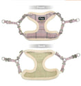 Load image into Gallery viewer, Puppy dog leash
