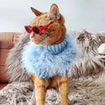 Load image into Gallery viewer, Pet Autumn And Winter Round Neck Sweater
