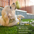 Load image into Gallery viewer, Funny Pet Dog Squeaky Toys For Small Middle Dogs Bite Resistant Puppy Cat Dogs Toys Pets Rubber Peanut Clean Tooth Chew Toy

