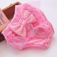 Load image into Gallery viewer, Female Dog Aunt Physiological Pants Panties
