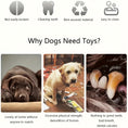 Load image into Gallery viewer, Squeaky Dog Toys Pack For Puppy, Cute Soft Durable Stuffed Animal Plush Dog Chew Toys With Squeakers For Teeth Cleaning, For Small Medium Dogs
